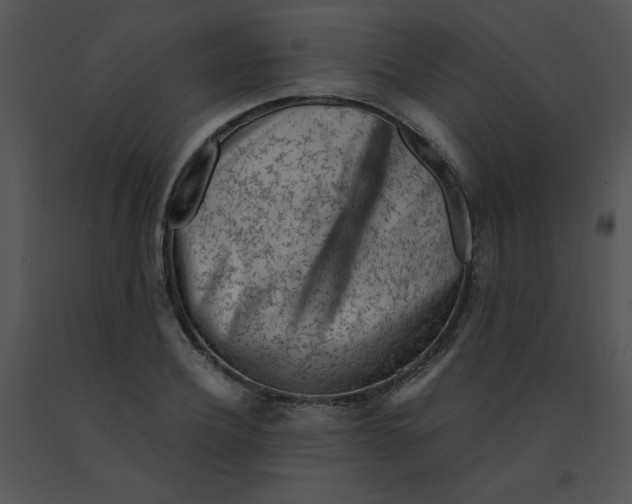 X0000091360932200708311502