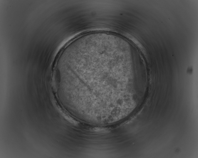 X0000091360933200708311502