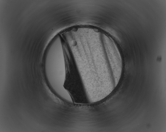 X0000091360934200708311502
