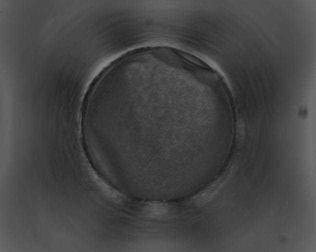 X0000091360935200708311502