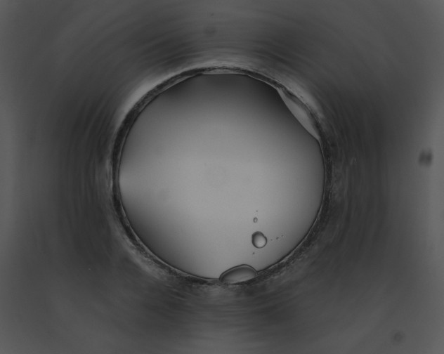 X0000091360936200708311502