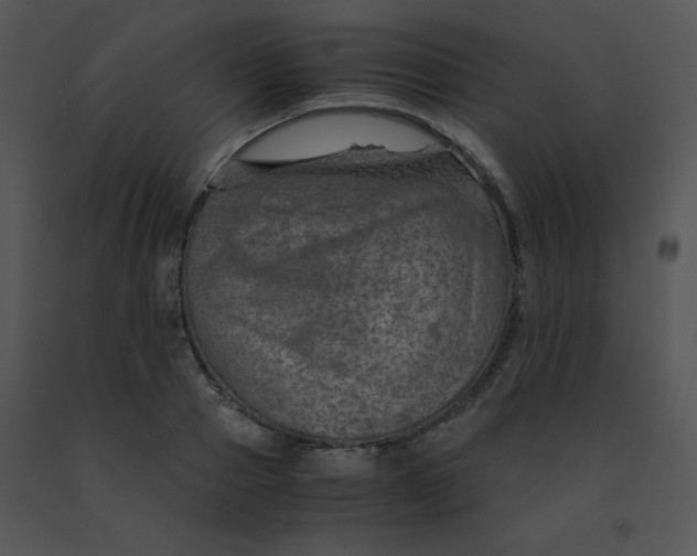 X0000091360937200708311502