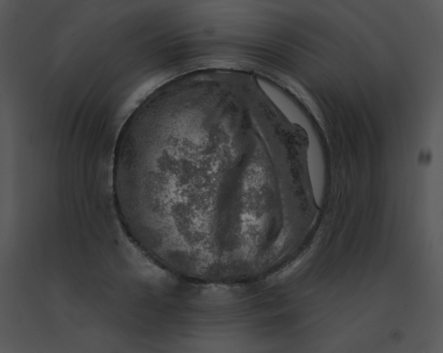 X0000091360938200708311502