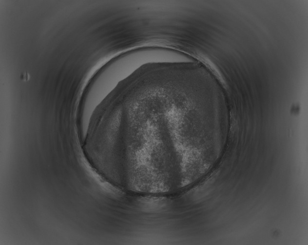 X0000091360939200708311502