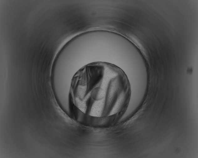 X0000091360940200708311502