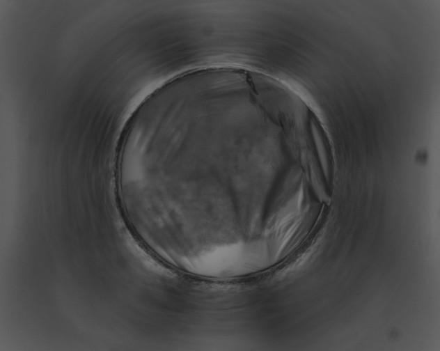 X0000091360941200708311502