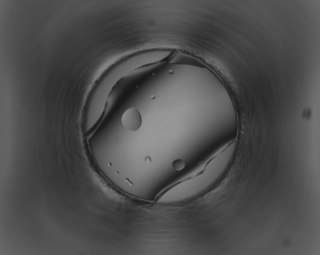 X0000091360942200708311502