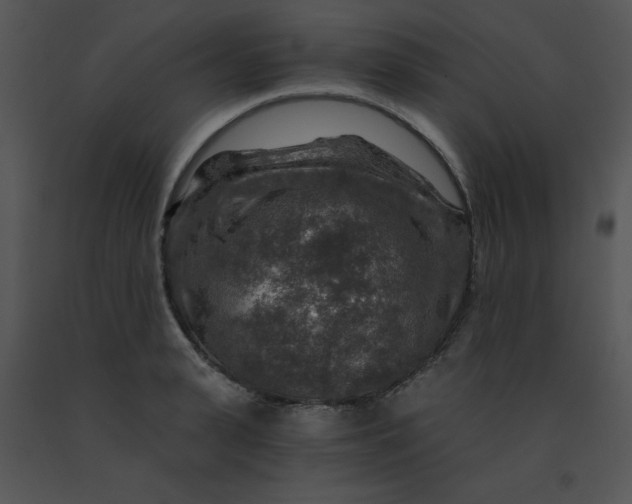 X0000091360943200708311502