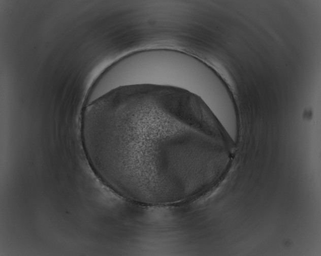 X0000091360944200708311502