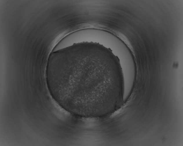 X0000091360946200708311502
