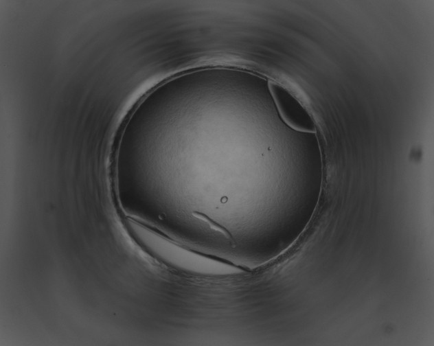 X0000091360947200708311502