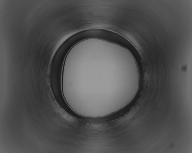 X0000091360948200708311502