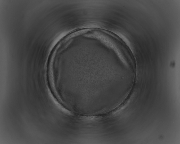 X0000091360949200708311502