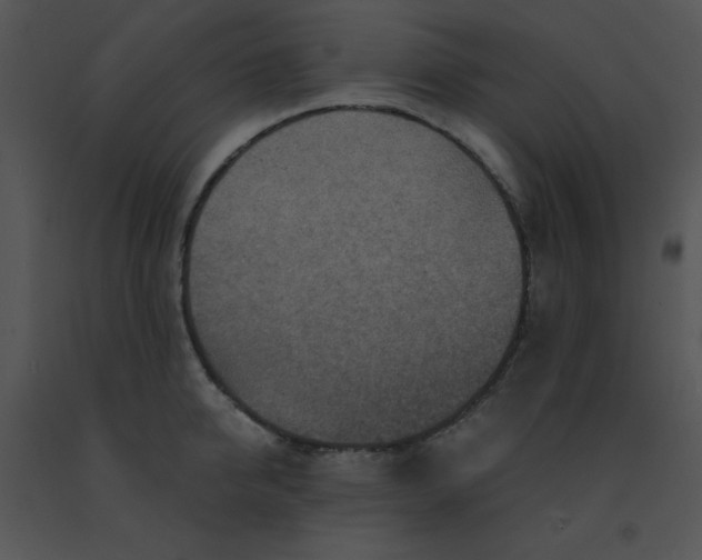 X0000091360950200708311502