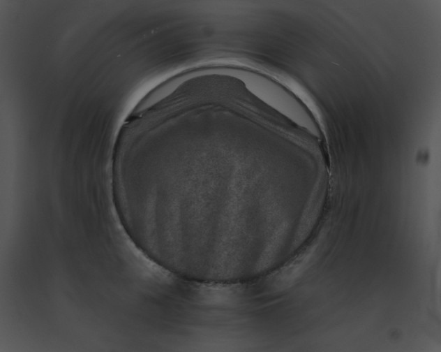 X0000091360951200708311502