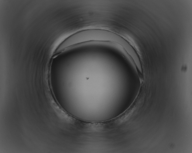 X0000091360952200708311502