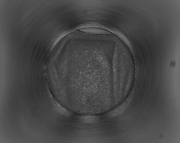 X0000091360953200708311502