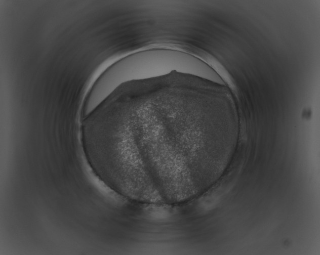 X0000091360955200708311502