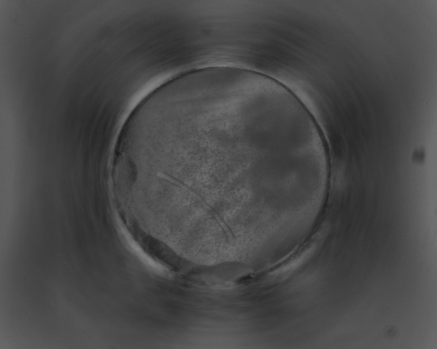 X0000091360957200708311502