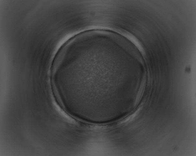 X0000091360958200708311502