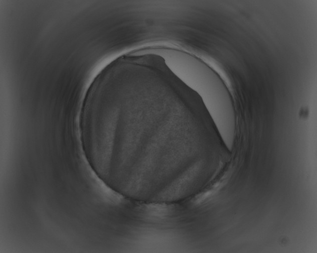 X0000091360959200708311502