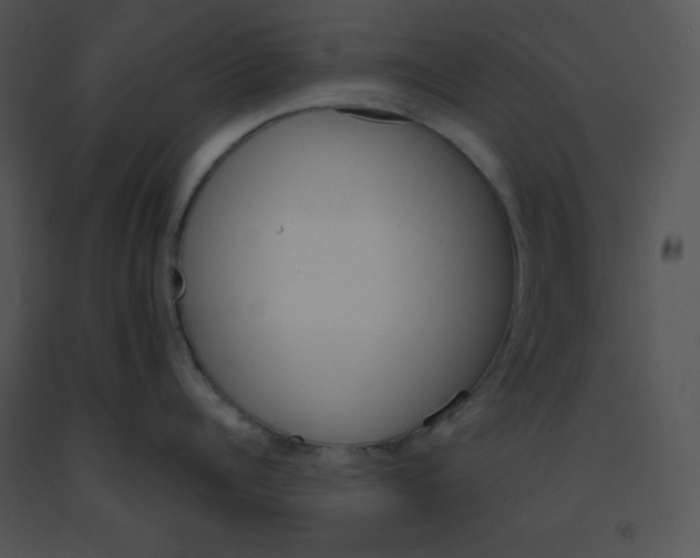 X0000091360960200708311502