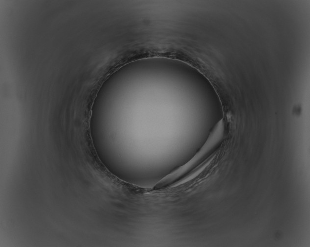 X0000091360961200708311501