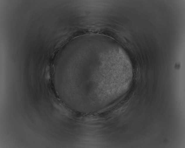 X0000091360962200708311501