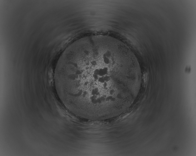 X0000091360963200708311501