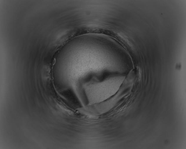 X0000091360964200708311501