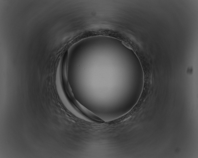 X0000091360965200708311501