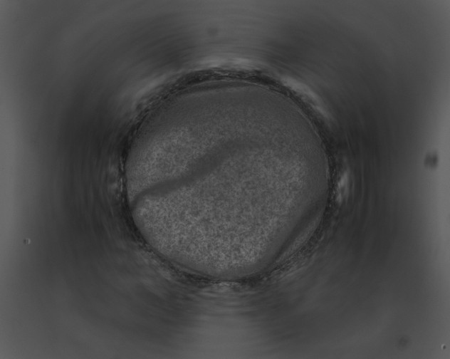 X0000091360966200708311501