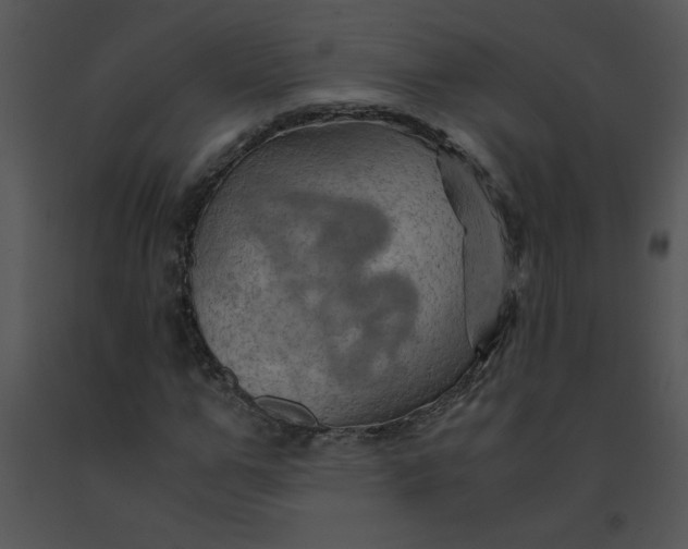 X0000091360967200708311501