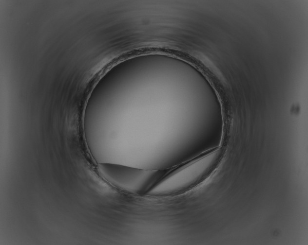 X0000091360969200708311501