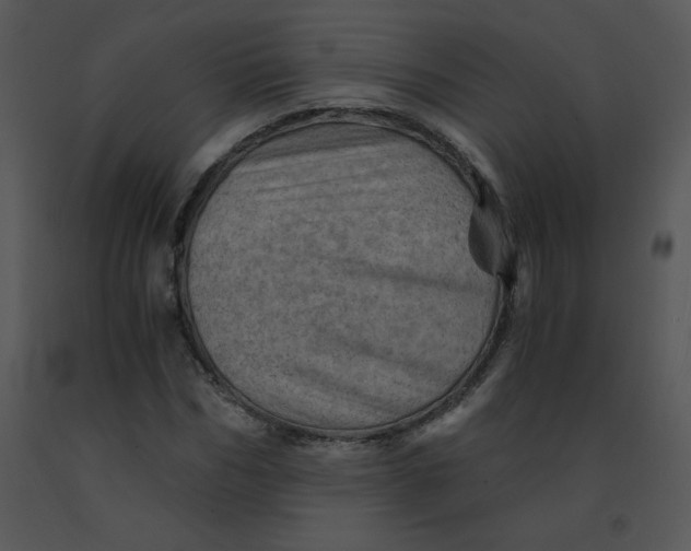 X0000091360970200708311501