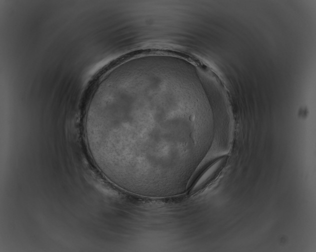 X0000091360971200708311501