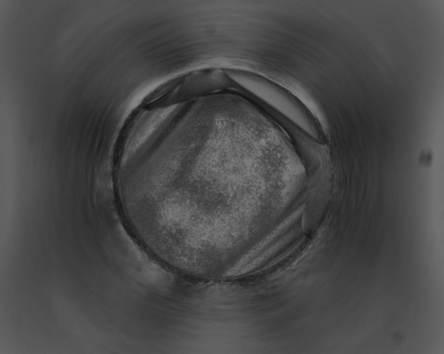 X0000091360972200708311501