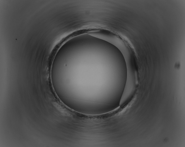 X0000091360973200708311501