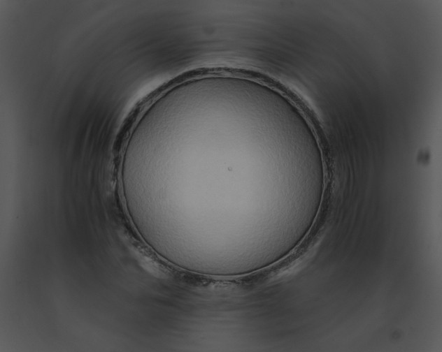X0000091360974200708311501