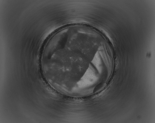 X0000091360975200708311501