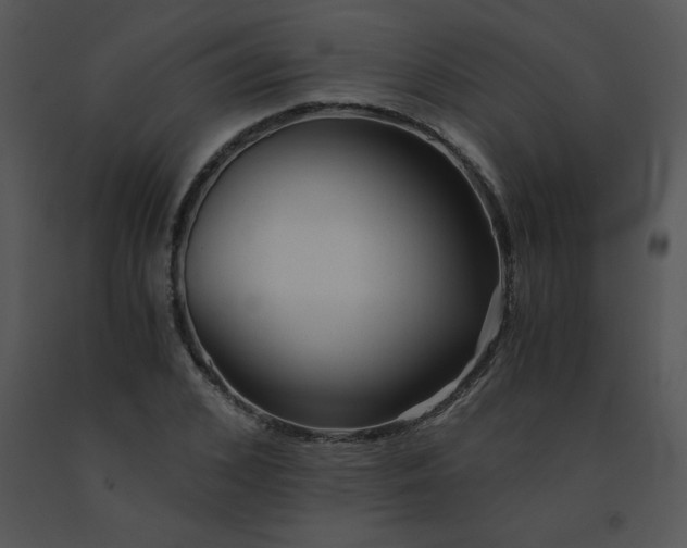 X0000091360976200708311501