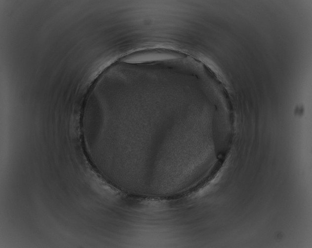 X0000091360977200708311501