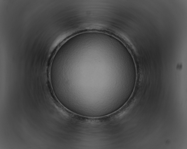 X0000091360978200708311501