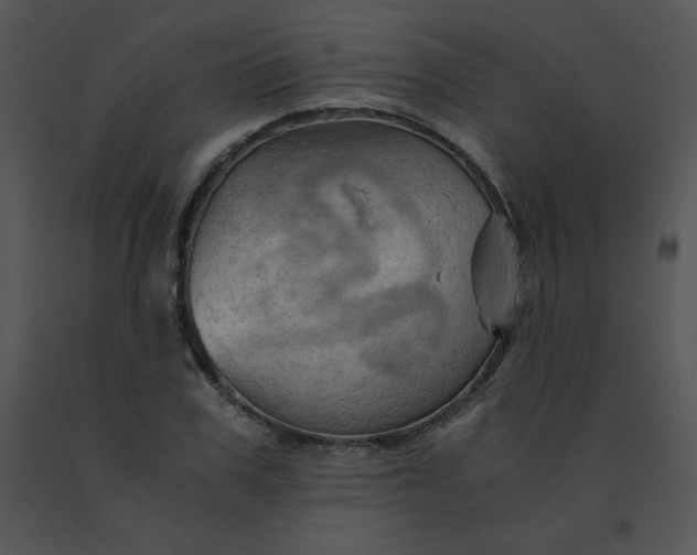X0000091360979200708311501