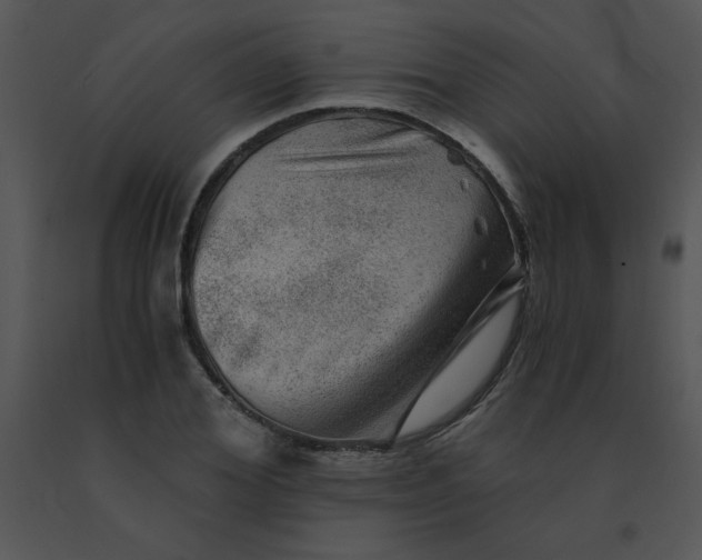 X0000091360980200708311501