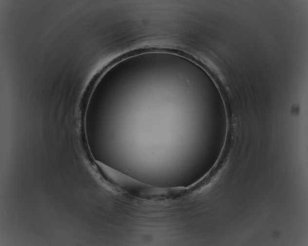 X0000091360981200708311501