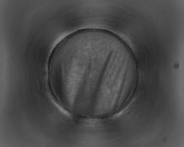 X0000091360982200708311501