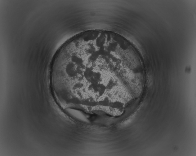 X0000091360983200708311501