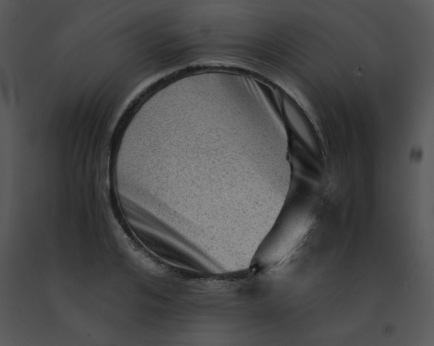 X0000091360984200708311501