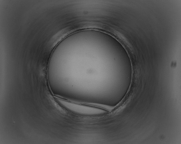 X0000091360985200708311501